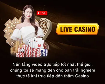 Chính sách bảo mật Vin 79